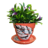 Orange Earthen Plant Pots with Black and White Ficus Leaf Print- Image with plants