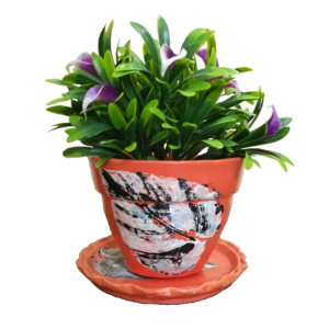 Orange Earthen Plant Pots with Black and White Ficus Leaf Print- Image with plants
