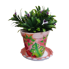 Orange Earthen Plant Pot with Red and Green Leaf Designs- Image with plants